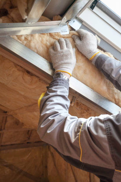 Best Commercial Insulation in Wardsville, MO