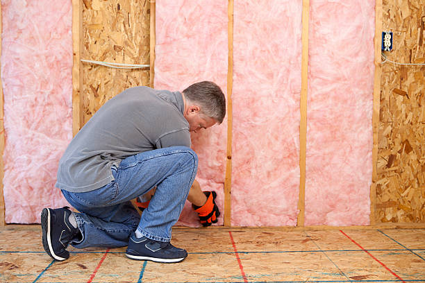 Best Insulation Installation Services in Wardsville, MO